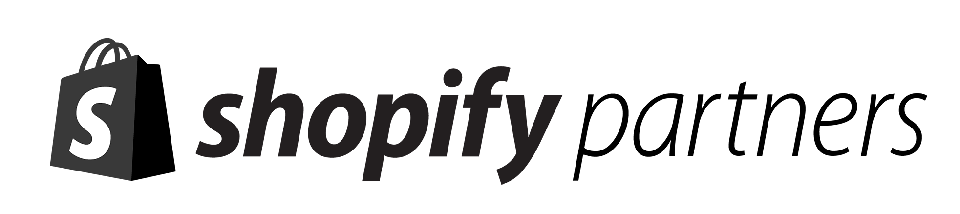 Shopify Partner